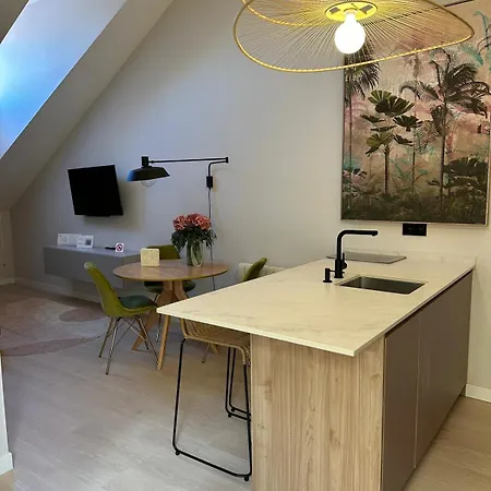 El Arco De La Catedral Apartment Burgo